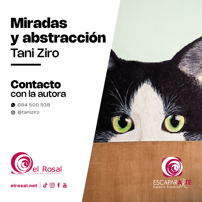 Miradas y abstracción de Tani Ziro
