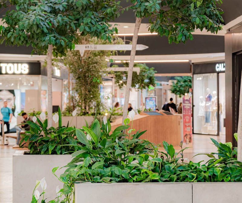 Tiendas y planta.