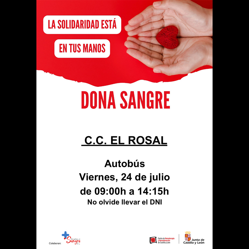La solidaridad está en tus manos